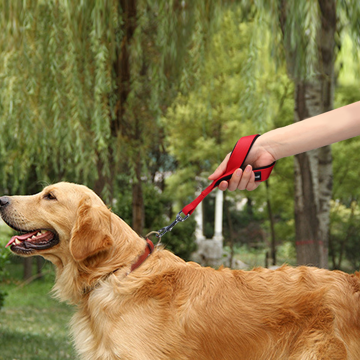 Kurzführer Kurze Hunde Leine Hundeleine Führschlaufe Kurzleine Nylon Flexi