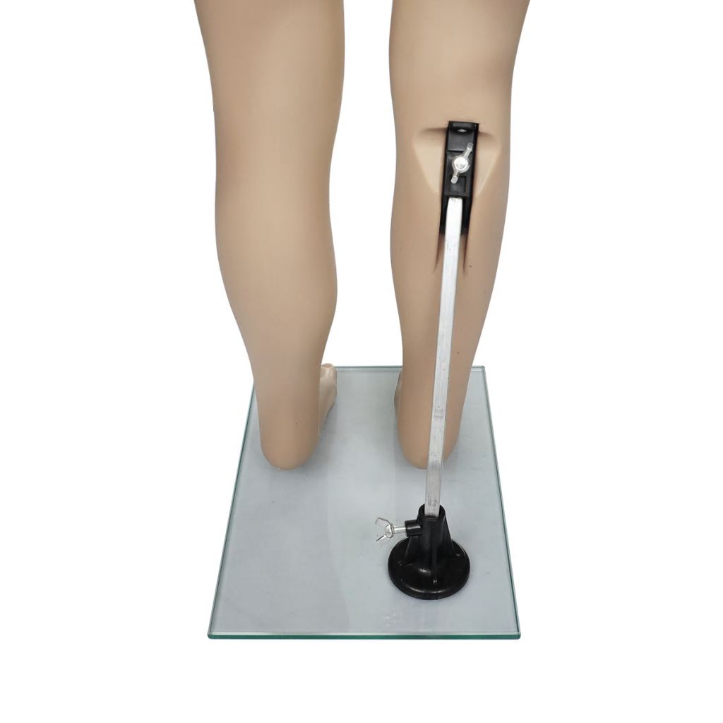 Full Body Mannequin Stand Tailor Dressmaker Dummy Shop Window Display Many Size - Picture 10 of 77