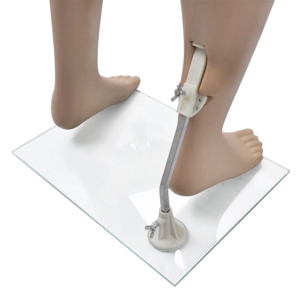 Full Body Mannequin Stand Tailor Dressmaker Dummy Shop Window Display Many Size - Picture 39 of 77