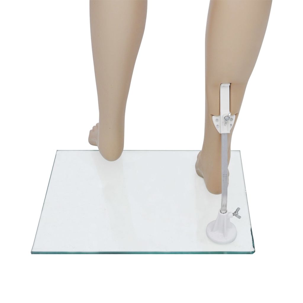 Full Body Mannequin Stand Tailor Dressmaker Dummy Shop Window Display Many Size - Picture 48 of 77