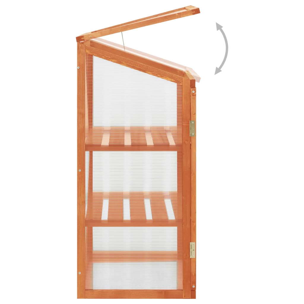 Holz Gewächshaus Anzuchthaus Frühbeet Hochbeet Treibhaus Garten Balkon Schrank - Bild 18 von 26