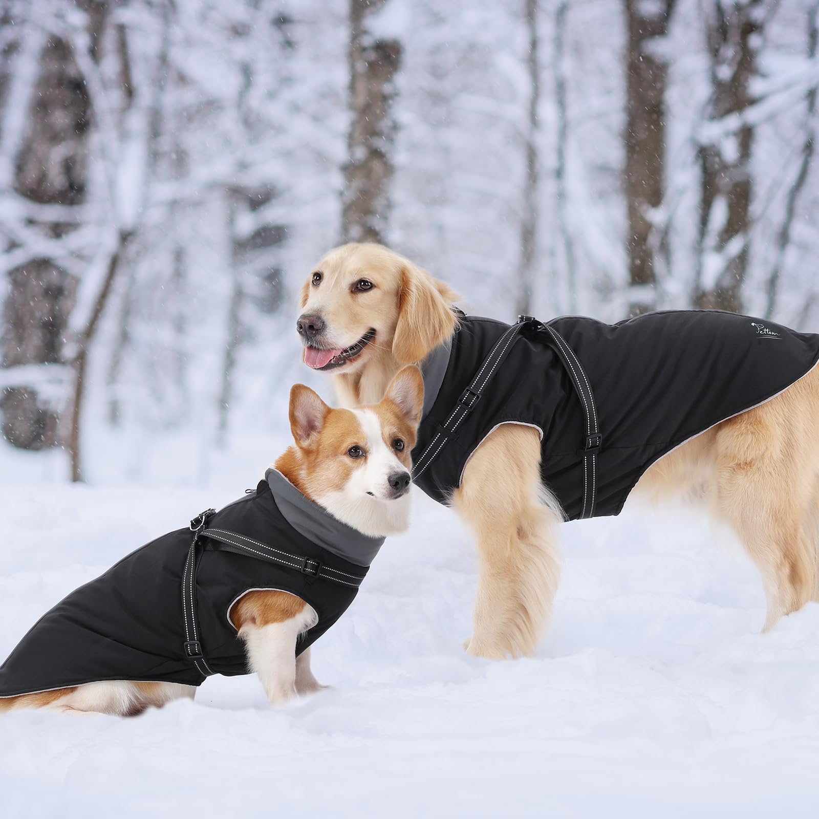 Hundemantel Wintermantel Winter Warm Weste Hundejacke Hundeweste Wasserdicht