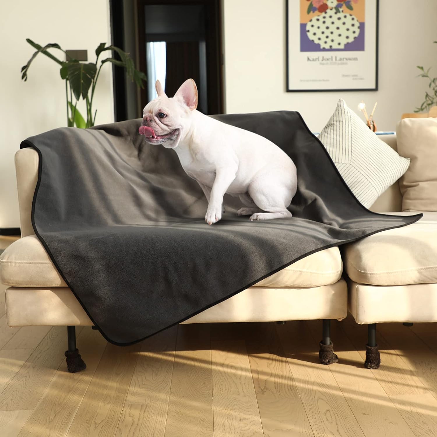 Dog Blanket Waterproof Puppy Blanket Liquid Proof Pet Throw Bed Sofa from Spills - Picture 5 of 21