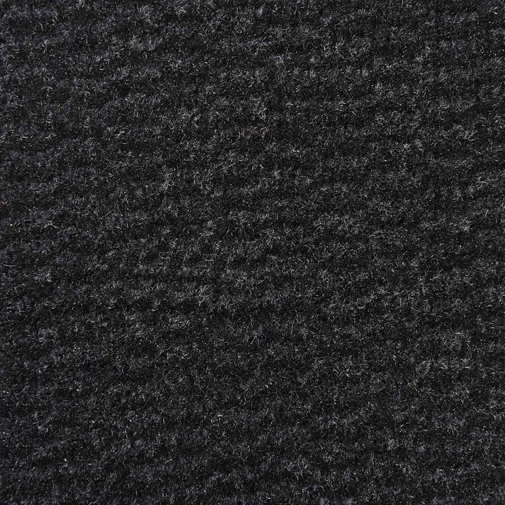 Schmutzfangmatte Sauberlaufmatte Türmatte Fußmatte Schmutzmatte Fussmatte Matte - Bild 12 von 20