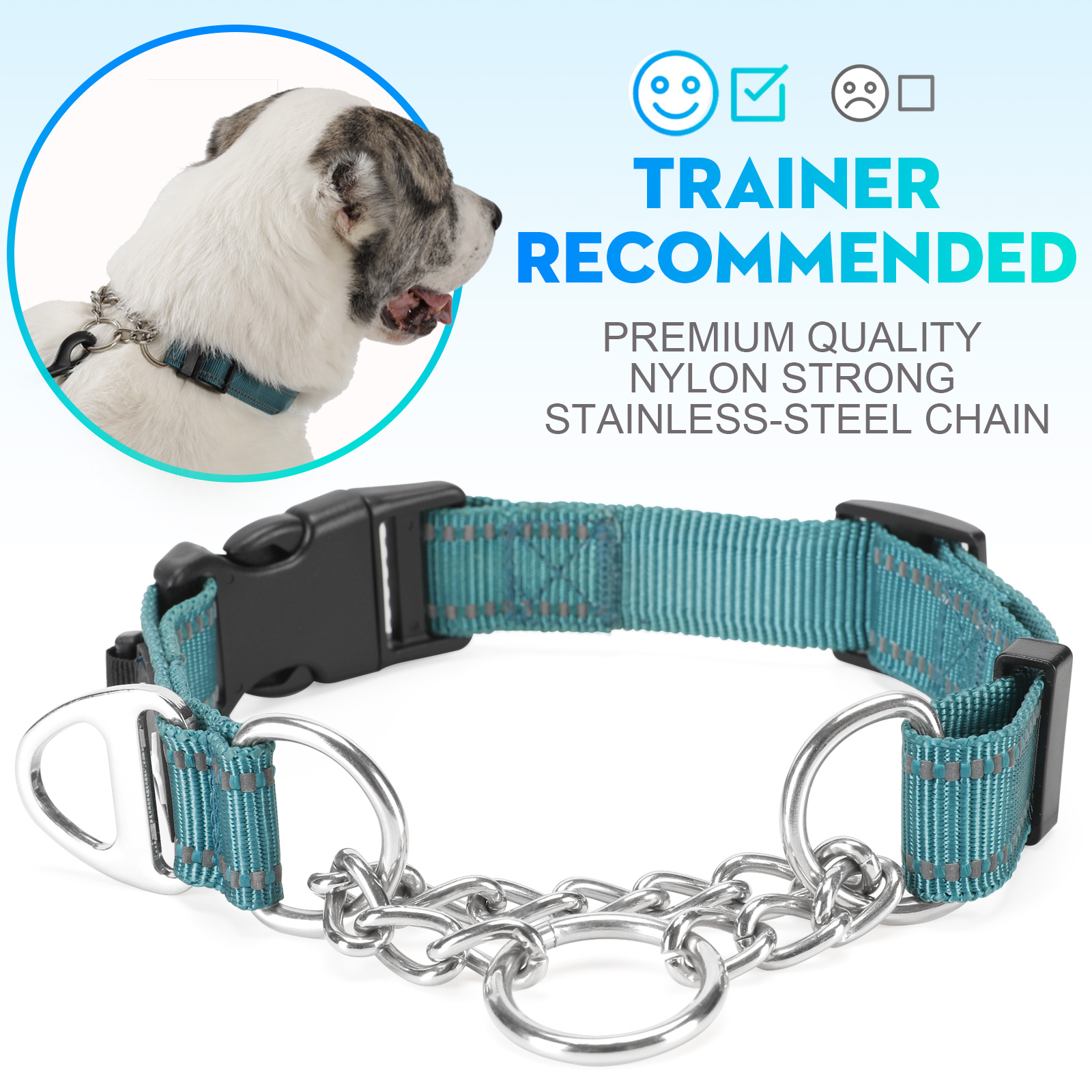 Dog Collar Pull Stop Collar Dogs with Safety Lock Collar Nylon - Picture 31 of 35