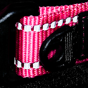 Dog Collar Pull Stop Collar Dogs with Safety Lock Collar Nylon - Picture 17 of 35