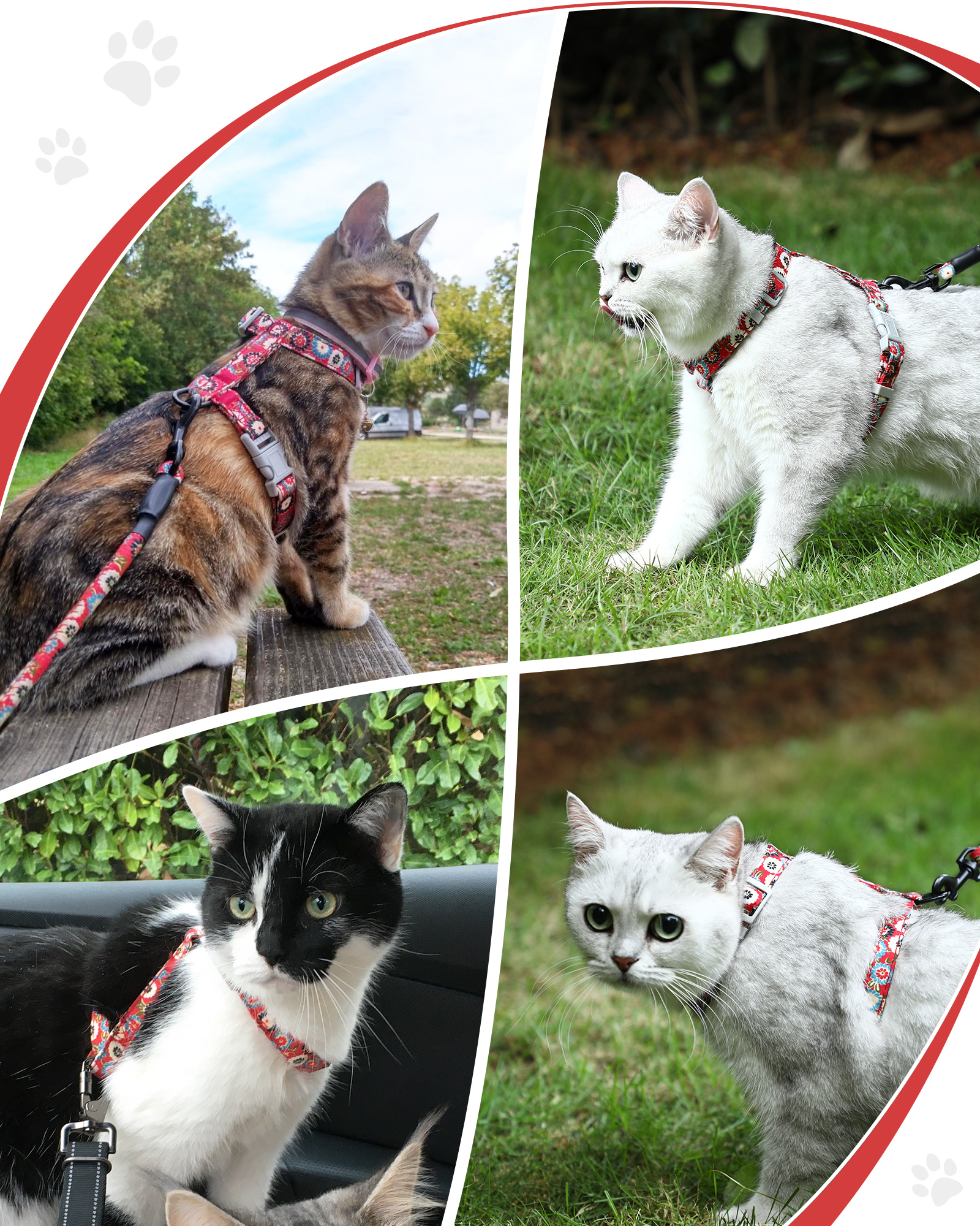 Katzengeschirr mit Leine Ausbruchsicher Soft Verstellbar Hundegeschirr Geschirr - Bild 45 von 52