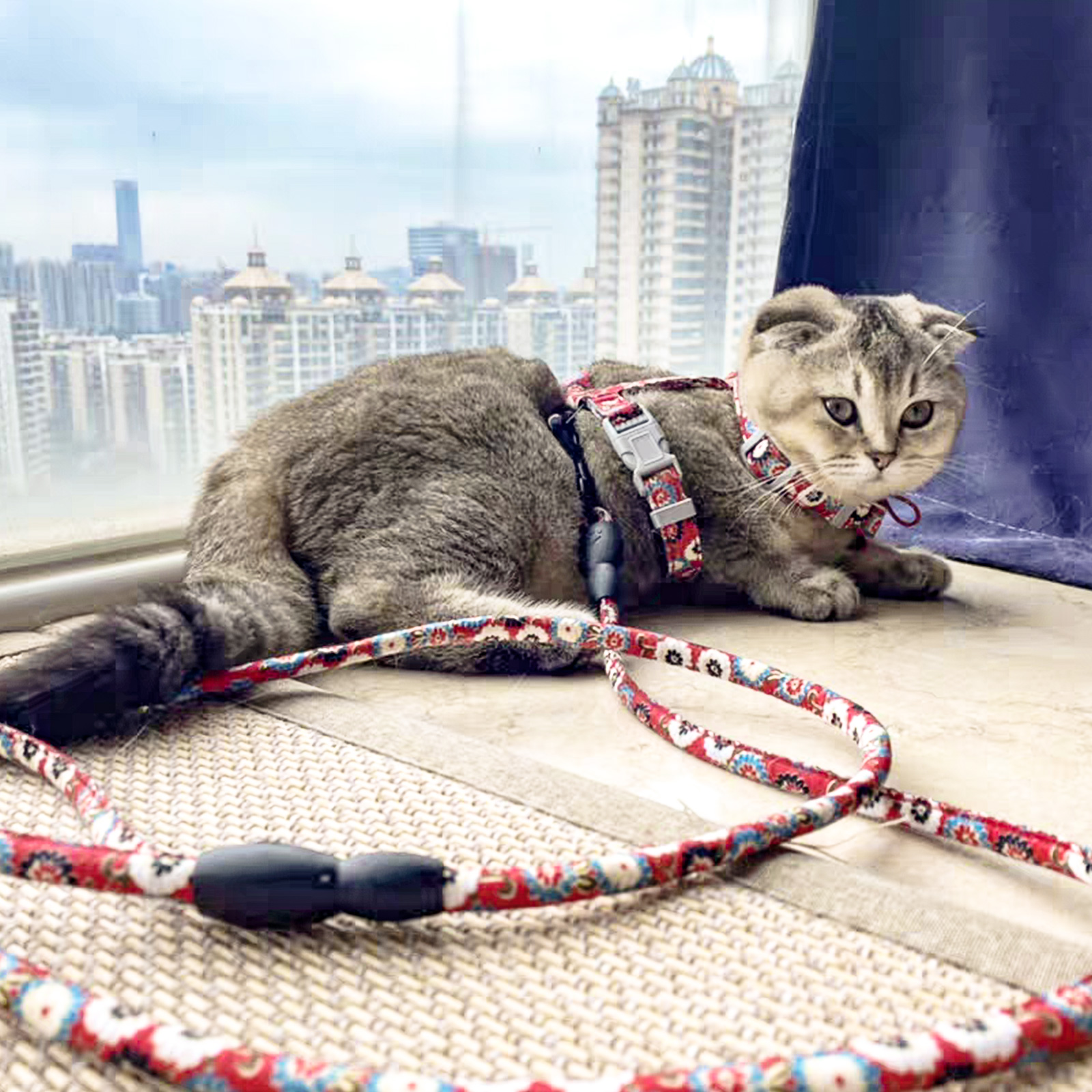 Katzengeschirr mit Leine Ausbruchsicher Soft Verstellbar Hundegeschirr Geschirr - Bild 51 von 52